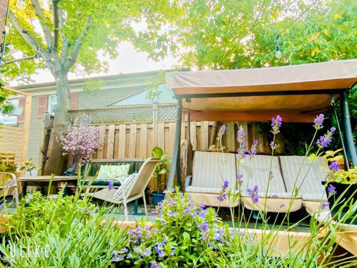 Toronto Bed & Breakfast - Free Parking 외부 사진