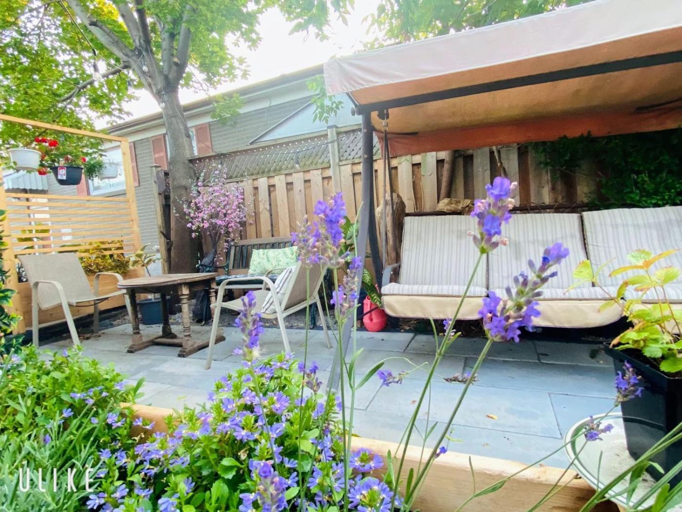 Toronto Bed & Breakfast - Free Parking 외부 사진