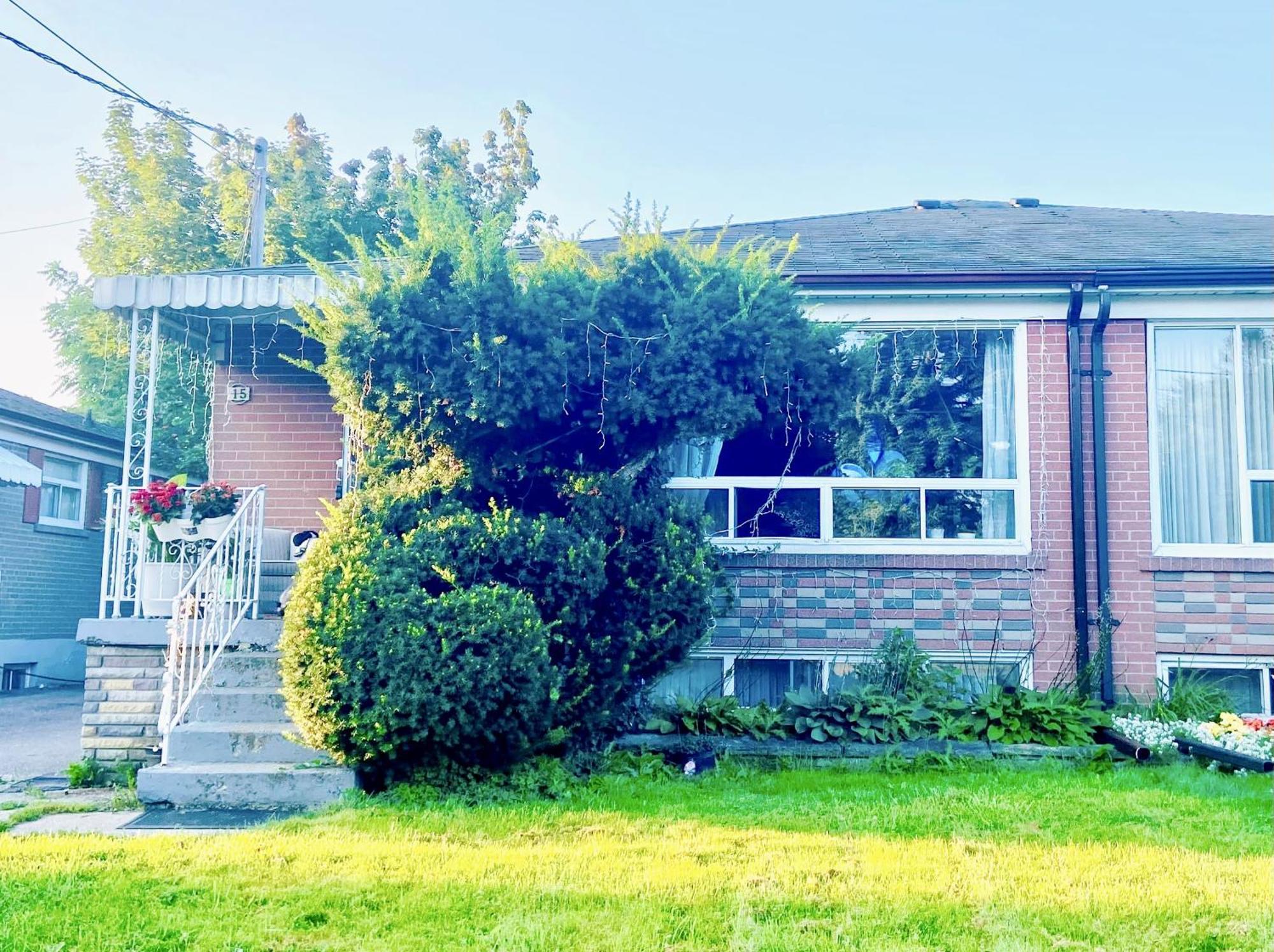 Toronto Bed & Breakfast - Free Parking 외부 사진